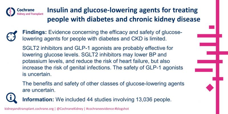Blogshot Insulin and glucose lowering agents