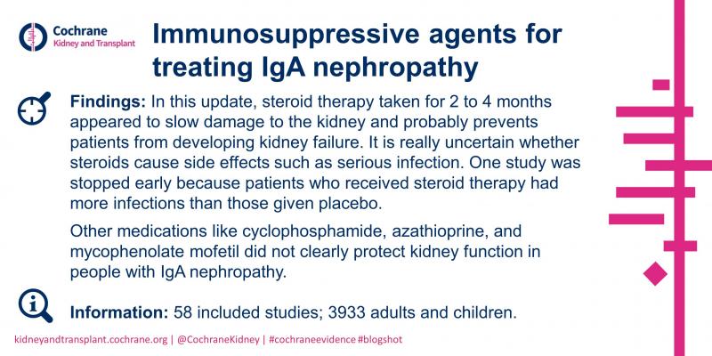Blogshot Immunosuppressive agents for treating IgA nephropathy