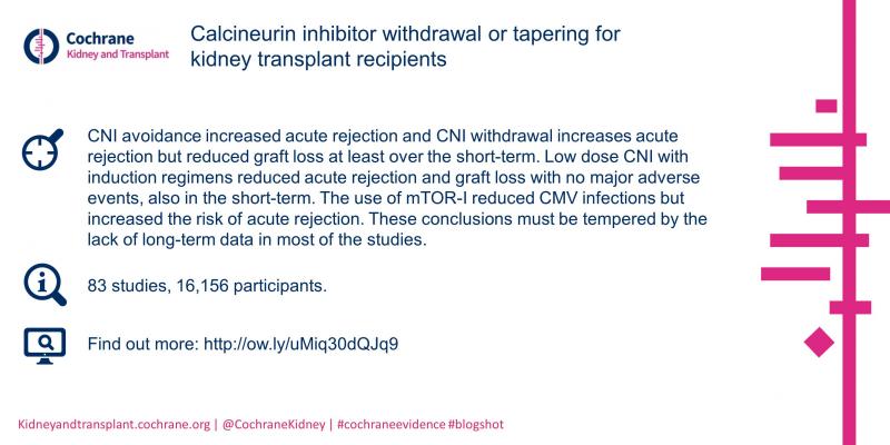 New Review: Calcineurin inhibitor withdrawal