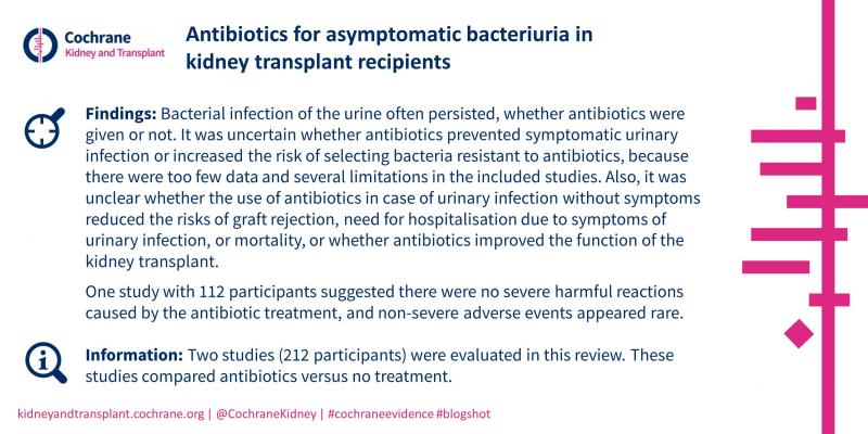 Blogshot Antibiotics for asymtomatic bacteriuria in kidney transplant recipients