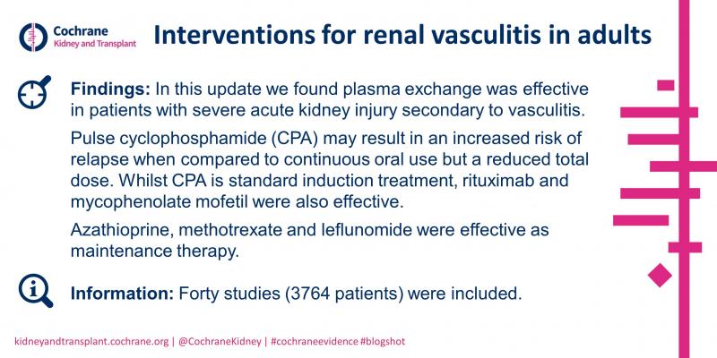 Blogshot Interventions for renal vasculitis