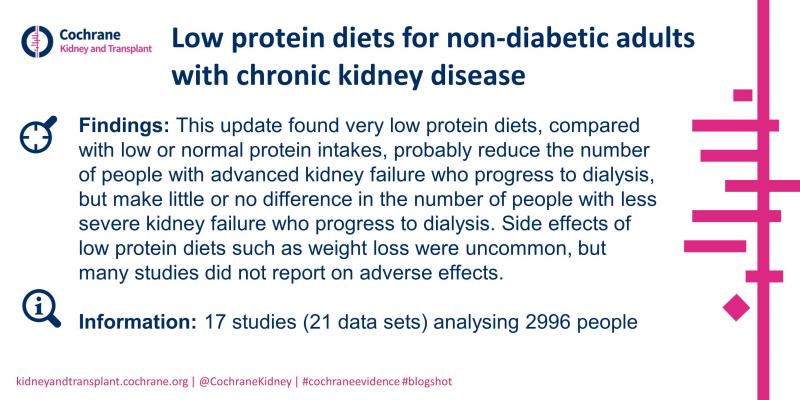 Blogshot - Low protein diets for CKD