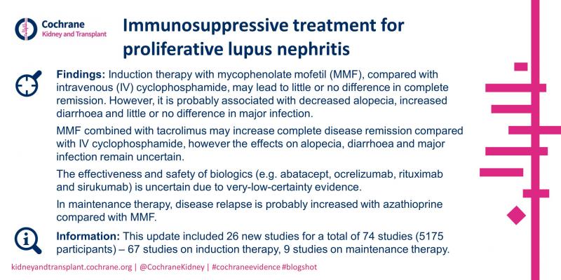 Blogshot lupus nephritis